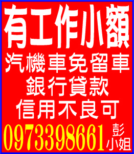 有工作小額   汽機車免留車