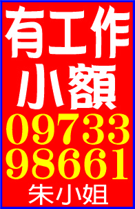 有工作小額